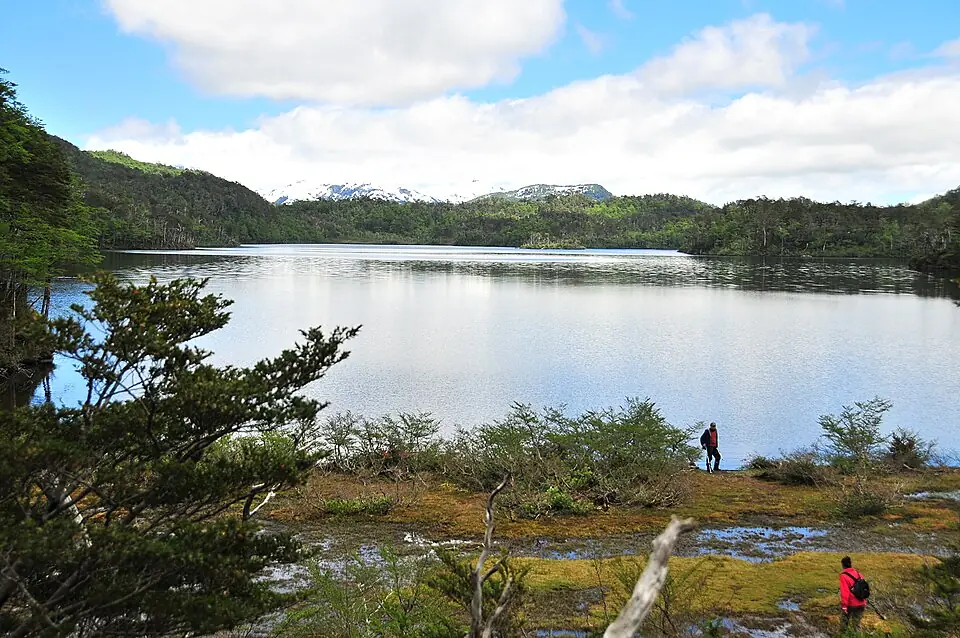 Futaleufú Bridge-to-Bridge Rafting tour with Bochinche Expediciones in Patagonia